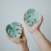 Mini Monstera Minth - obrazek 4