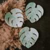 Mini Monstera Minth - obrazek 2