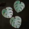 Mini Monstera Minth - obrazek 3