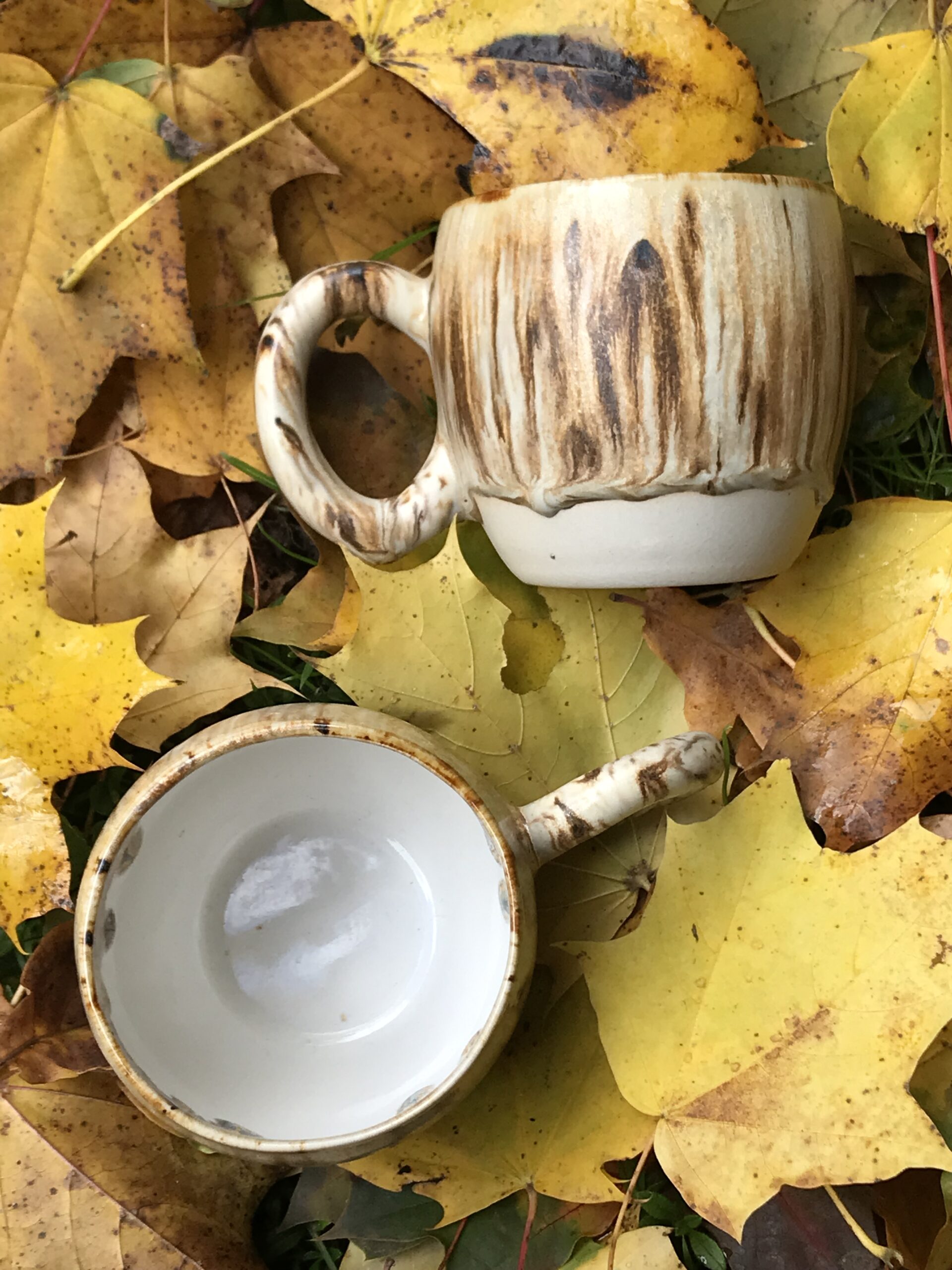 Leśna Baryłka - obrazek 3