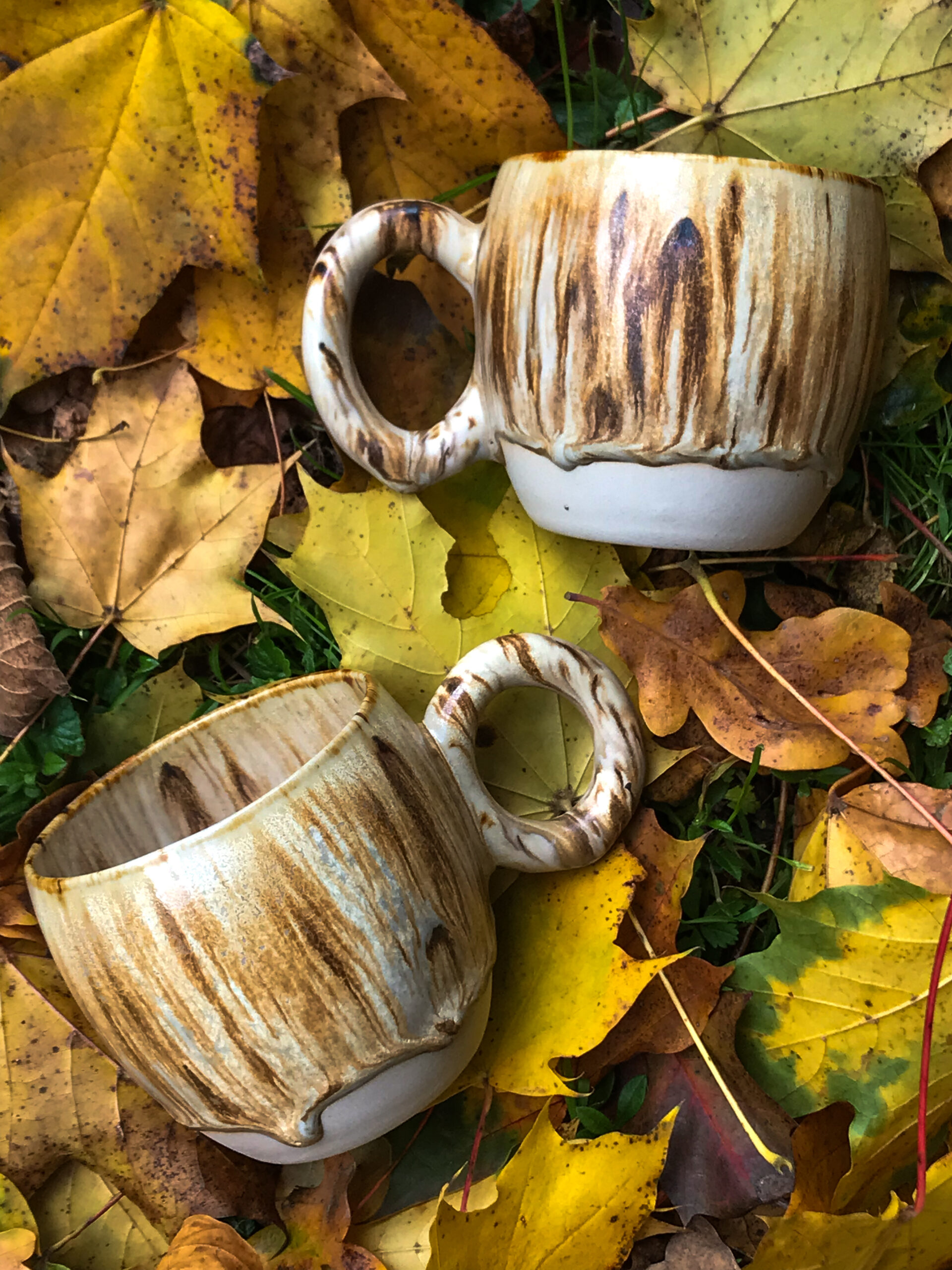 Leśna Baryłka - obrazek 2