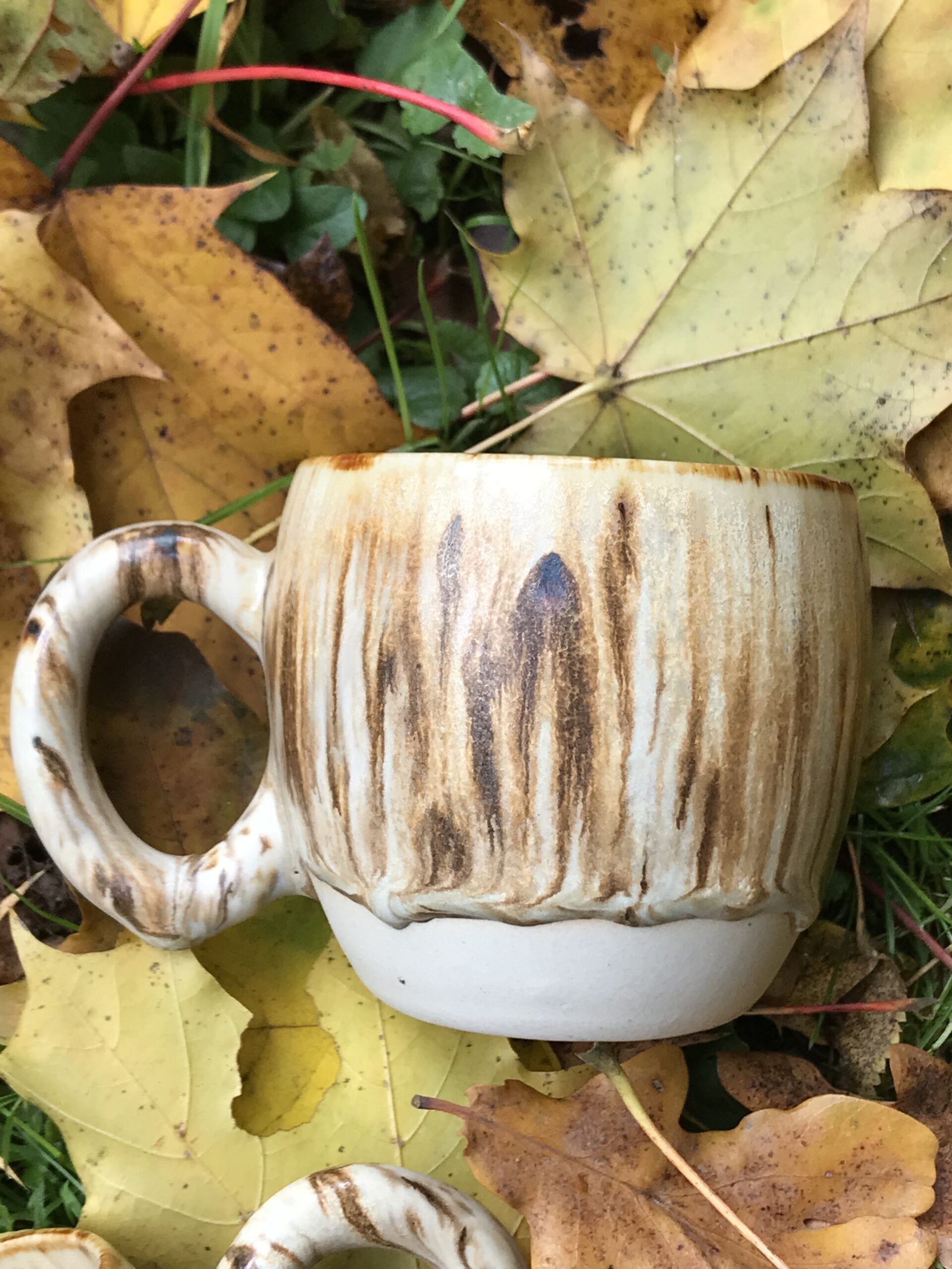 Leśna Baryłka - obrazek 2