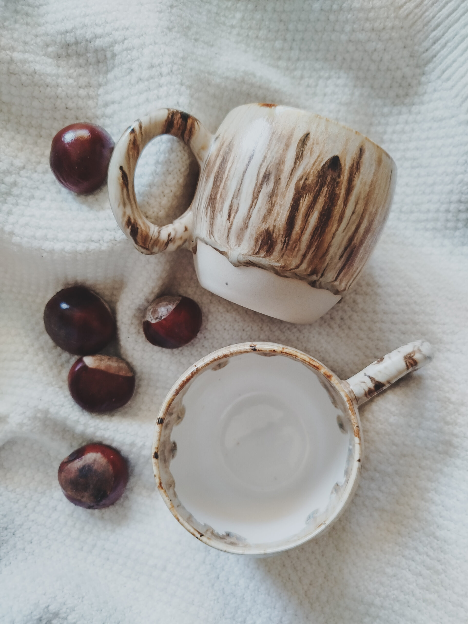 Leśna Baryłka - obrazek 5