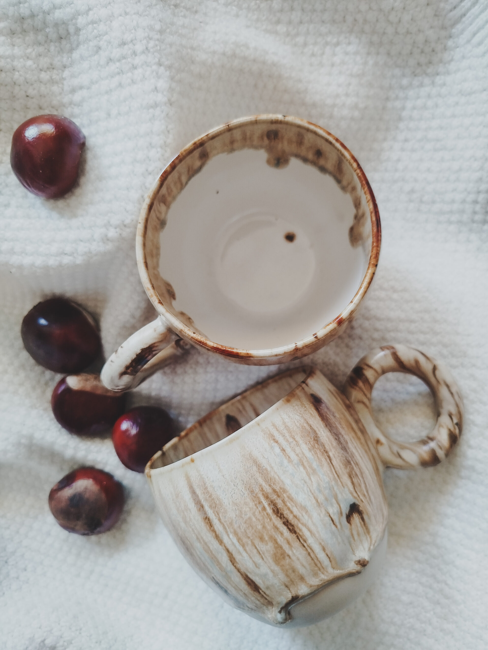 Leśna Baryłka - obrazek 4